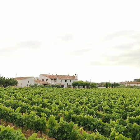 Soul Farm Mas Els Igols Villa Torrellas de Foix Exteriör bild