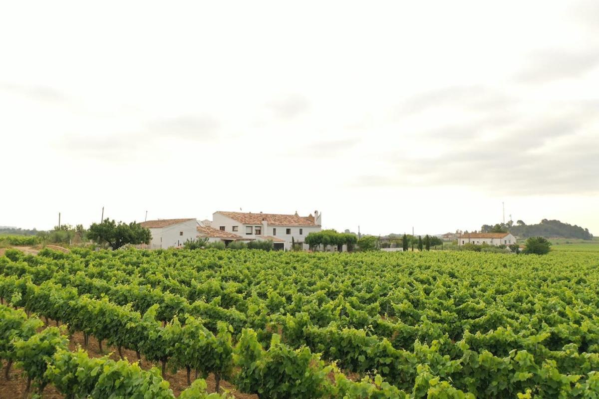 Soul Farm Mas Els Igols Villa Torrellas de Foix Exteriör bild